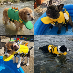 Canine float vest - bee style